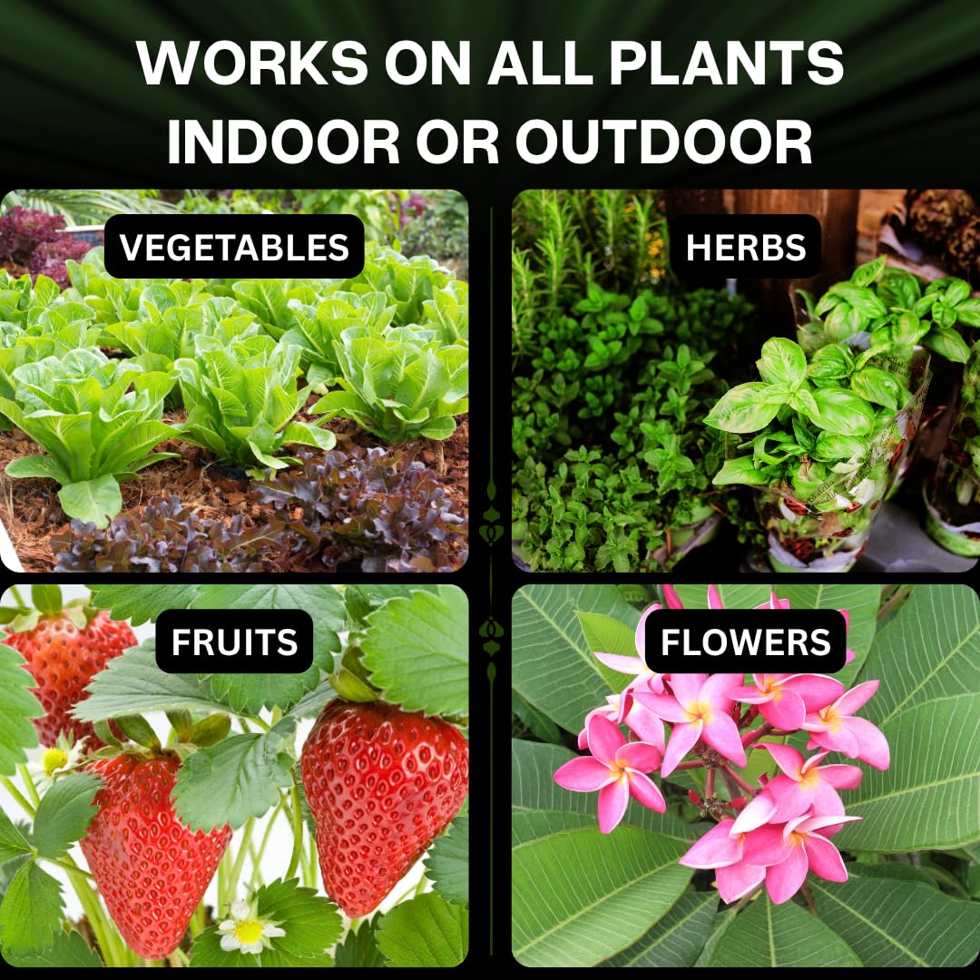 Xtreme Gardening CalCarb Calcium Foliar Spray — Supports Photosynthesis, Stress Resistance & Prevents Blossom End Rot — for Indoor & Outdoor Plants, 6 oz