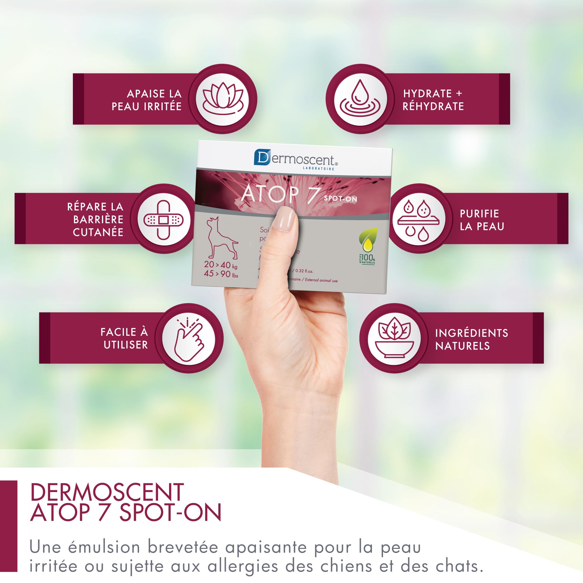 ATOP 7 Spot-on pour Chiens 20–40 kg | Soin Apaisant sans Rinçage | 4 Pipettes x 2,4 ML | Dermoscent