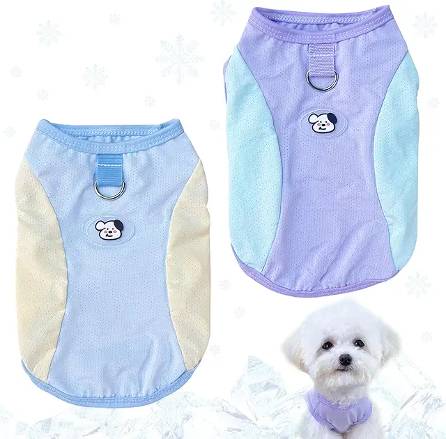 Gilet Rafraîchissant Chien - 2 Pièces Léger avec Anneau en D - Taille M - Violet & Bleu