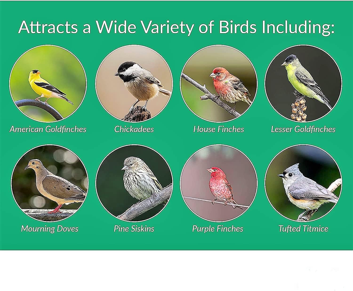 Desert Valley Premium Nyjer Seed - Wild Bird Food (10-Pounds)