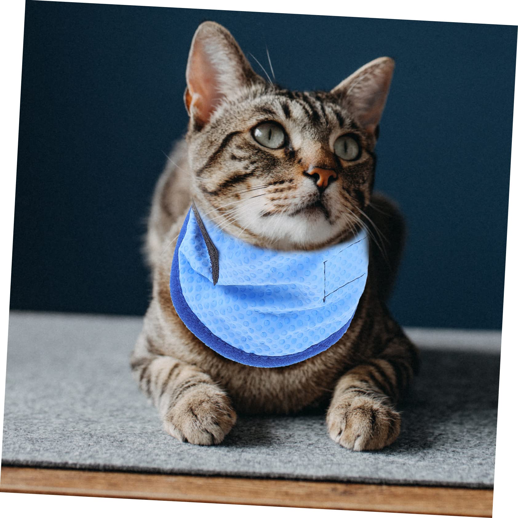 minkissy 4pièces Bandana Réfrigérante pour Chien Écharpe De Refroidissement pour Animaux De Compagnie Accessoire Légèreté pour Promenade Et Activités Extérieures