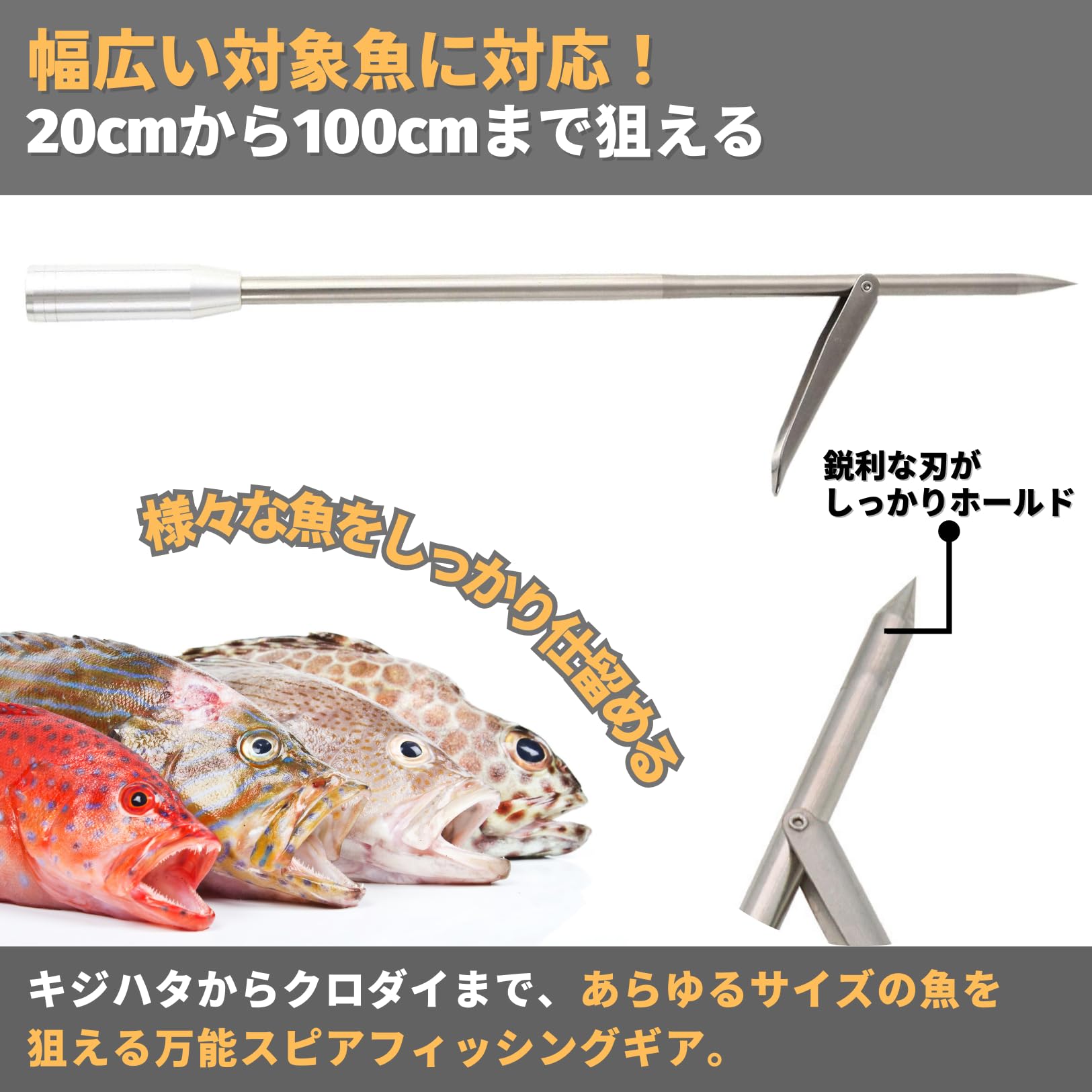 Amazon | PLEAVIT 魚突き モリ スピアフィッシング シングル 銛先 一本 