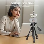 NEEWER Basic Mini Desk Tripod for Camera with 3 Way Pan Tilt Head & Handle, Small Portable Metal Tabletop Selfie Stick Stand with 1/4" Screw for DSLR Vlog Video Recording, Max Load 13.2lb, TP02