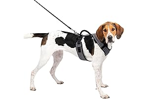 PetSafe EasySport Dog Harness - Padded, Adjustable Dog Harness with Control Handle...