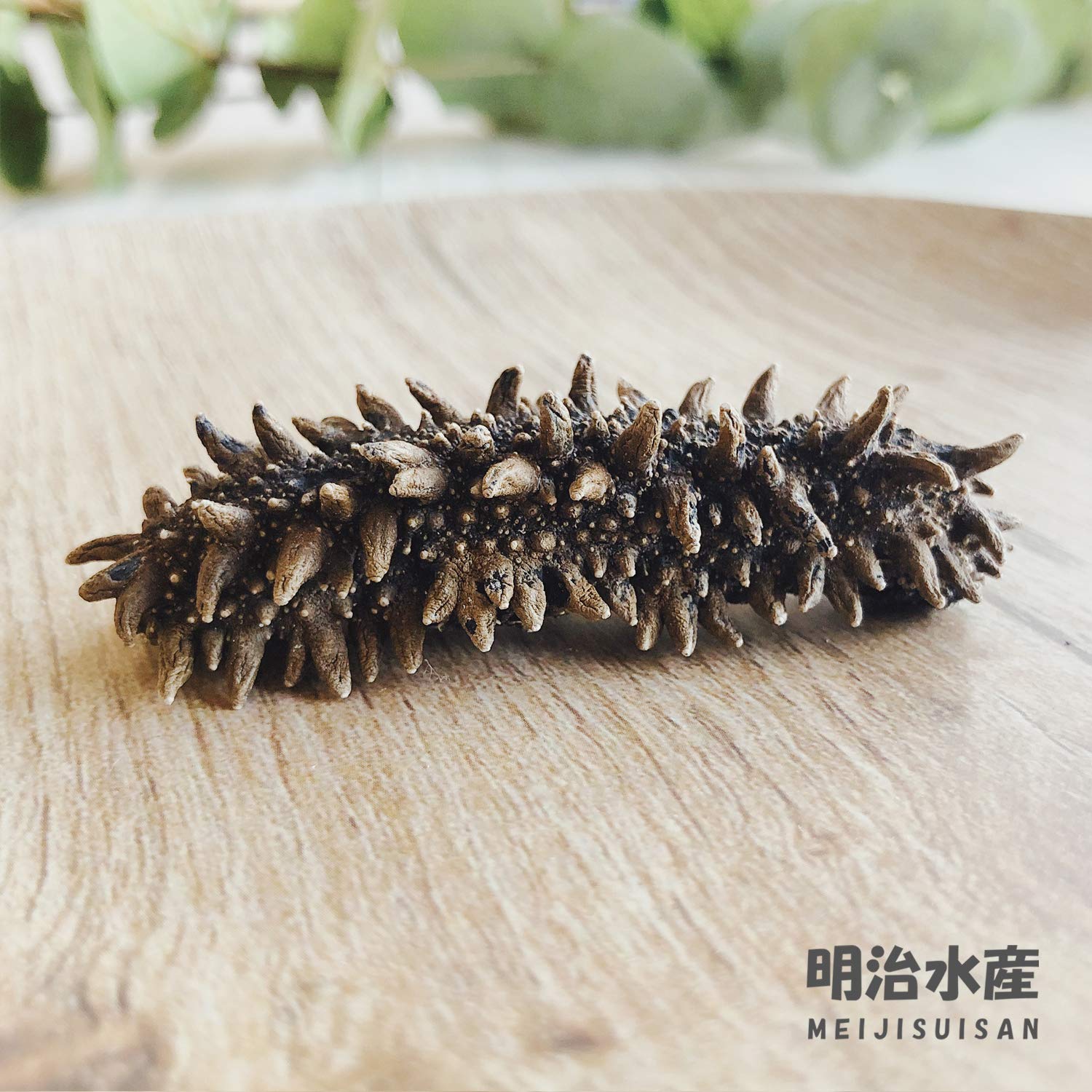 Amazon.co.jp: 【北海道産】 乾燥なまこ 天然 厳選A級品 500g 明治水産 