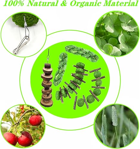 Miniatura 4 de 5 juguetes de conejo, conejo masticable para moler dientes, bola de heno Timothy colgante + palo de manzana + hierba de alfalfa pastel aperitivo