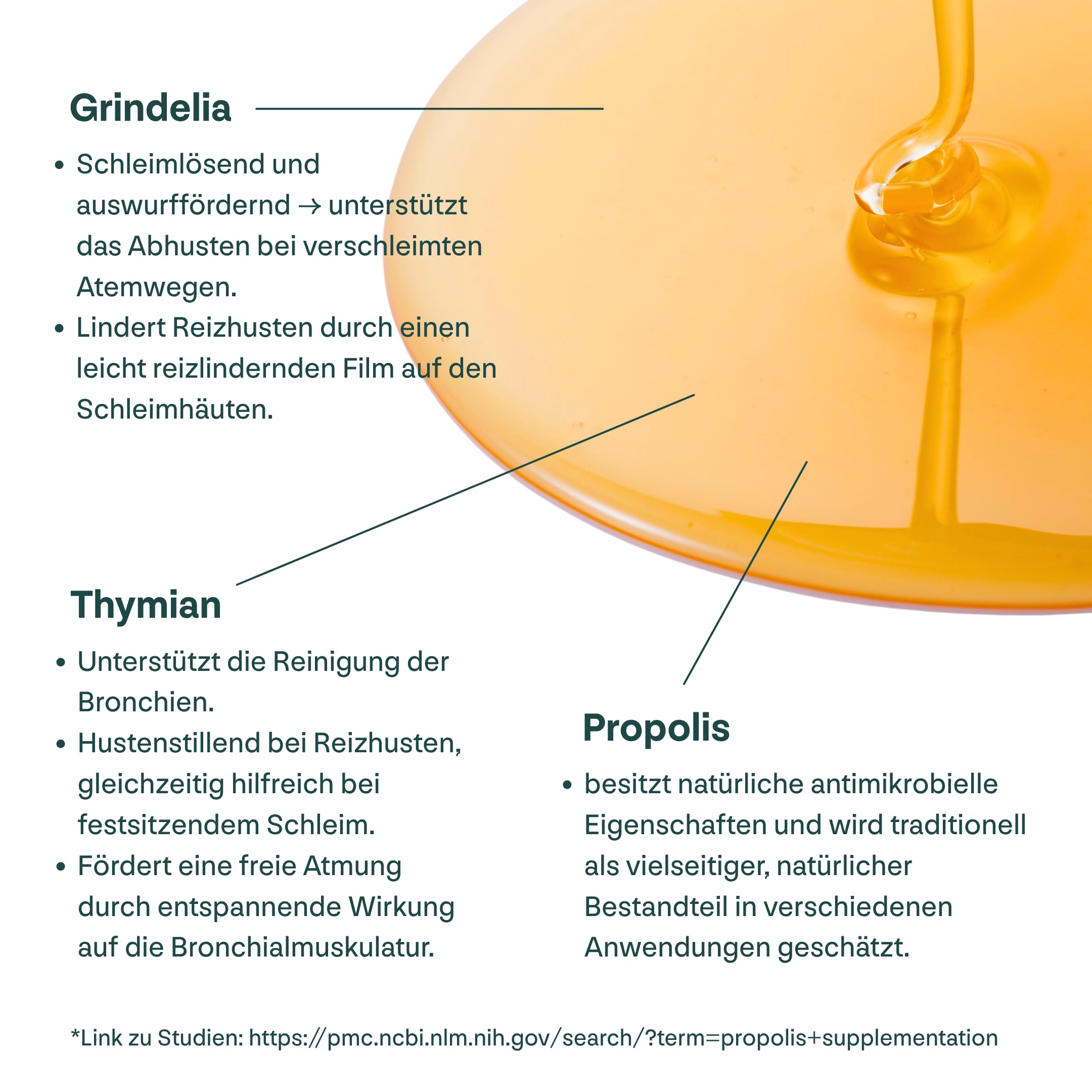 Propolis Hustensirup 100 ml – mit Propolis-Extrakt, Thymian, Grindelia & Eibischwurzel – alkoholfrei, lindert Hustenreiz & löst Schleim - ab 2 Jahren (3)
