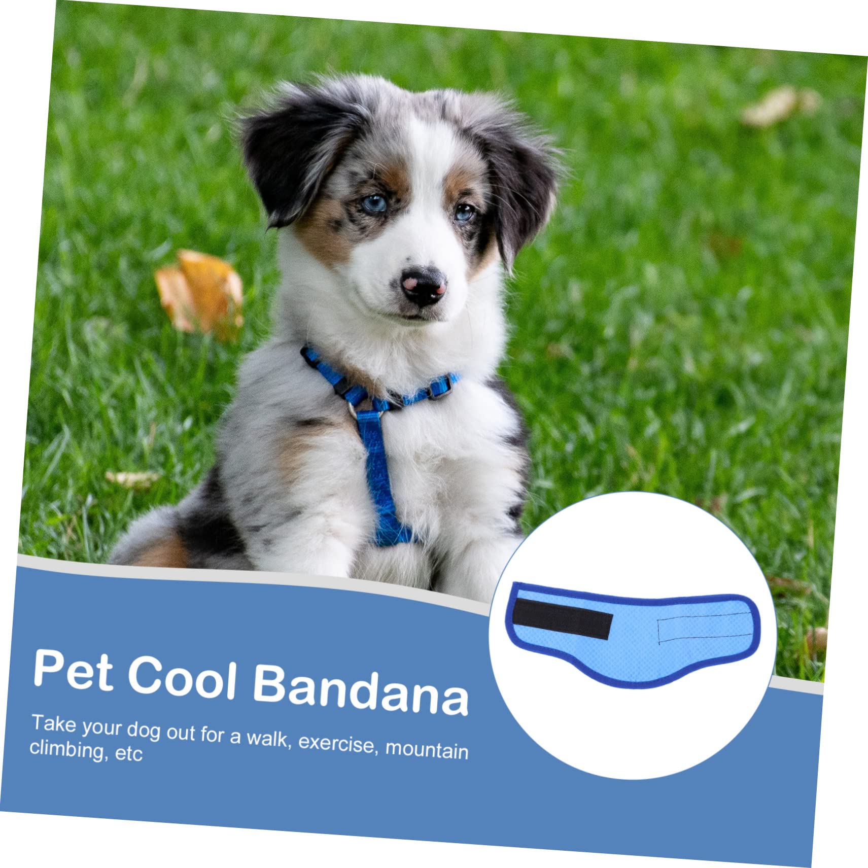 Toddmomy Lot De 5 Foulards Rafraîchissants pour Animaux De Compagnie Bandanas pour Chien Et Chiot en Tissu Respirant