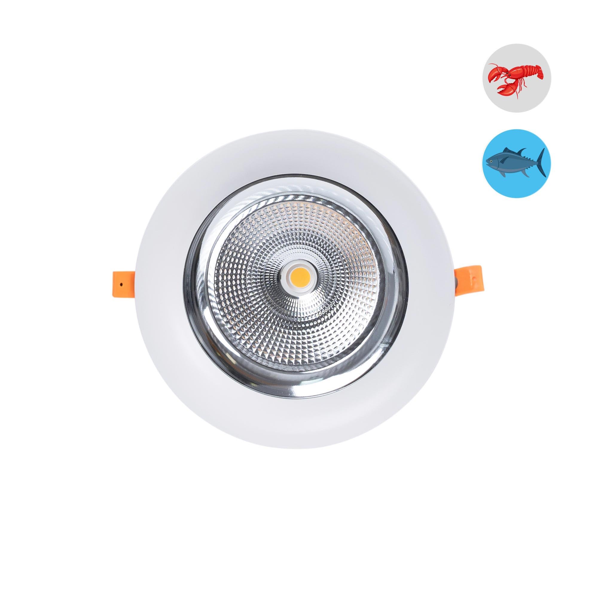 B·LED BARCELONA LED - Downlight LED especial para pescaderías - 40W - Driver - Corte Ø210 mm