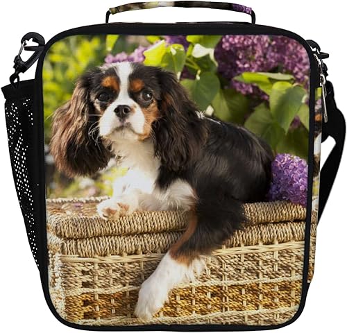 My Daily Insulated Lunch Bag, Cavalier King Charles Spaniel Dog Lunch Box for Women Adults Portable Cooler Tote with Shoulder Strap for Office Picnic