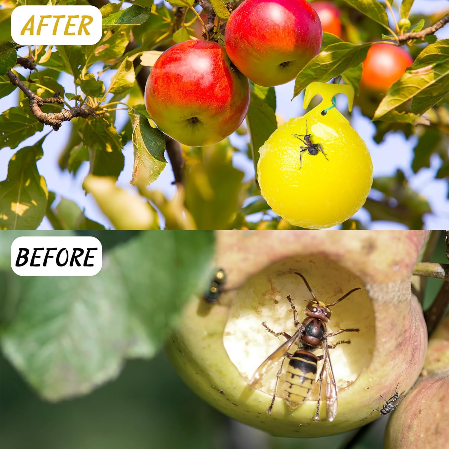 Qualirey 15 Pcs Sticky Fruit Fly Trap Ball Adhesive Fly Catching Ball Flying Insects Trap Sticky Ball with 15 Ribbon Fly Gnat Wasp Hornet Mosquito Bugs Flying Insects Trap Ball Traps(Yellow)