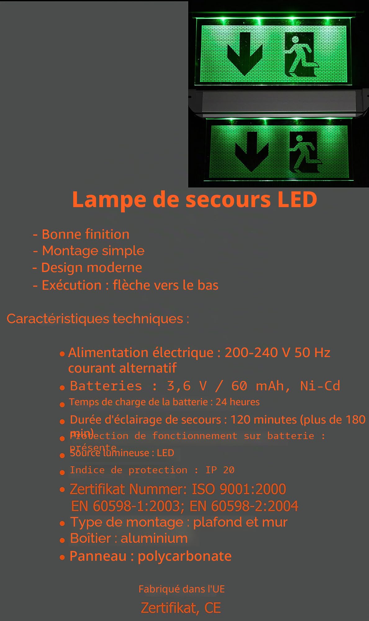 Atra Lampe pour éclairage de sortie de secours/voie d’évacuation Avec flèche vers le BAS