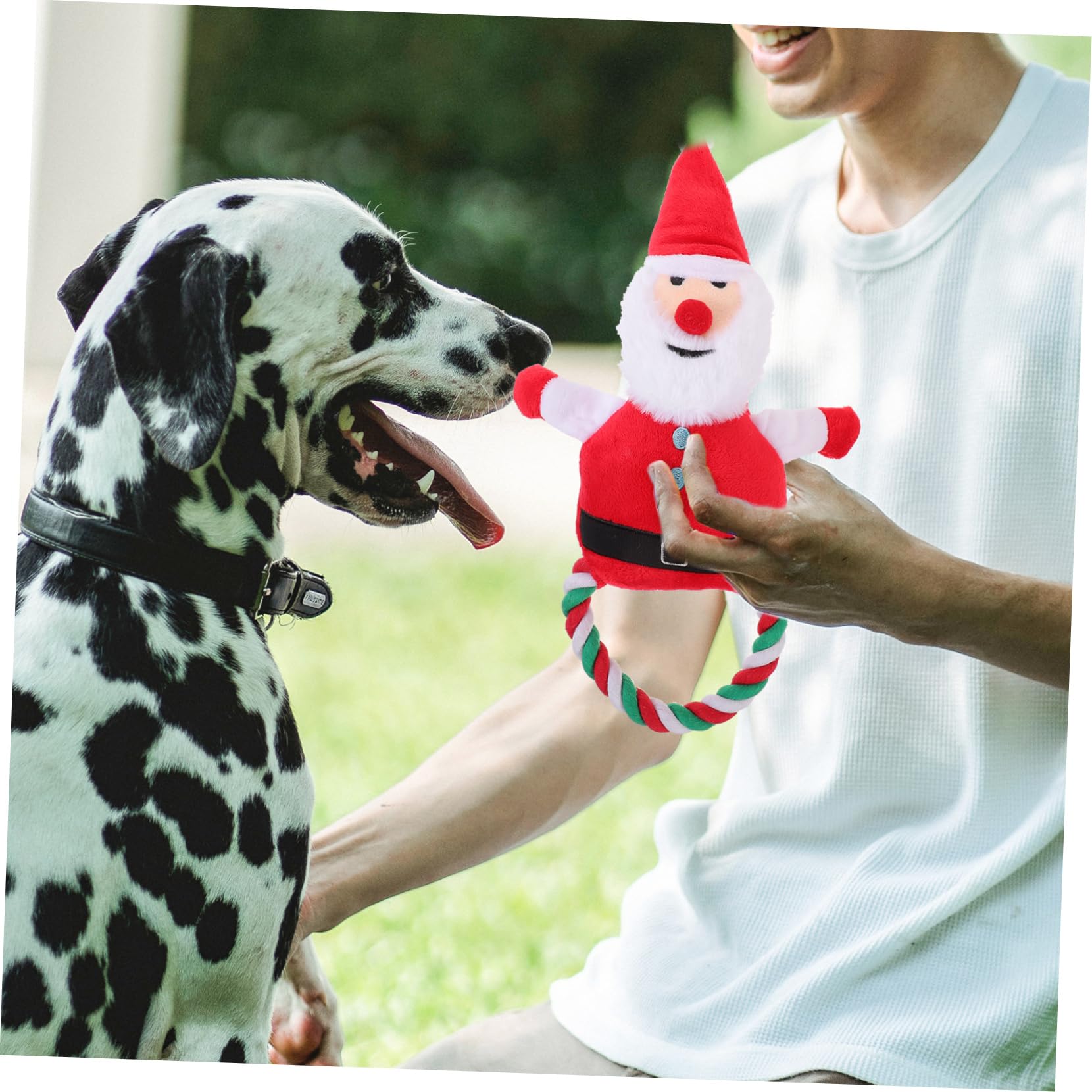 Sosoport 4pièces Jouet à Mâcher Forme De Père pour Chien Jouet Peluche Couineur pour pour Entraînement des Animaux De Compagnie
