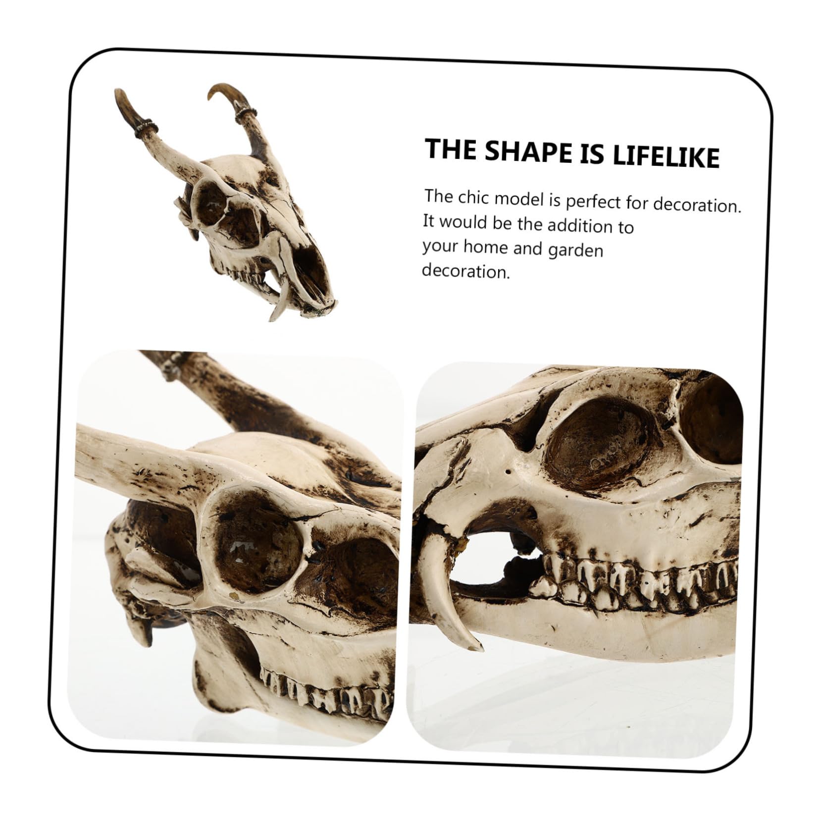 Cabilock 1 Pc Adorno De Calavera De Cabra Decoración De Cuernos De Cabra Kit De Collage De Pared Cabeza De Animal Decoración De Calavera De Oveja Ram Mesa Resina Póster Acuario