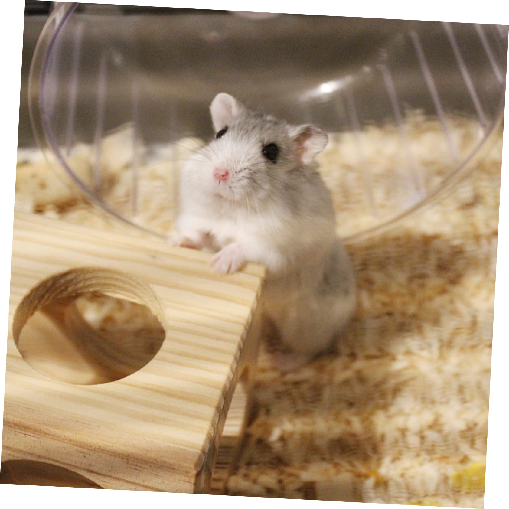 POPETPOP Hamsterstreu mit Geringer Staubentwicklung, 1 Pack, Papier, Weiß