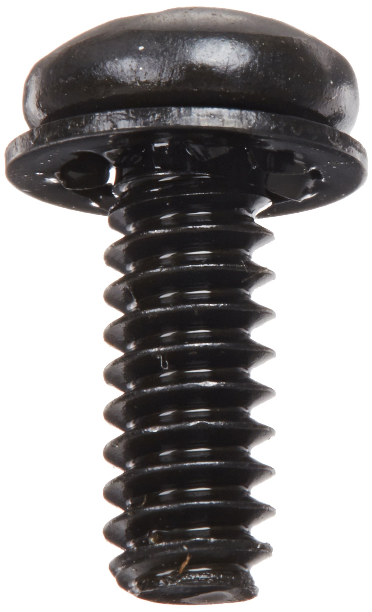 法螺貝ＮＯ−５０ＳＲ 法螺貝NO−50SR Stainless Steel Torx Pan Head Machine