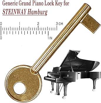 Amazon.com: NeoPRO Generic Piano Lock Key (Steinway Hamburg Grand