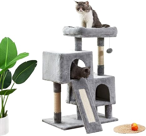 amazon cat climbing tree