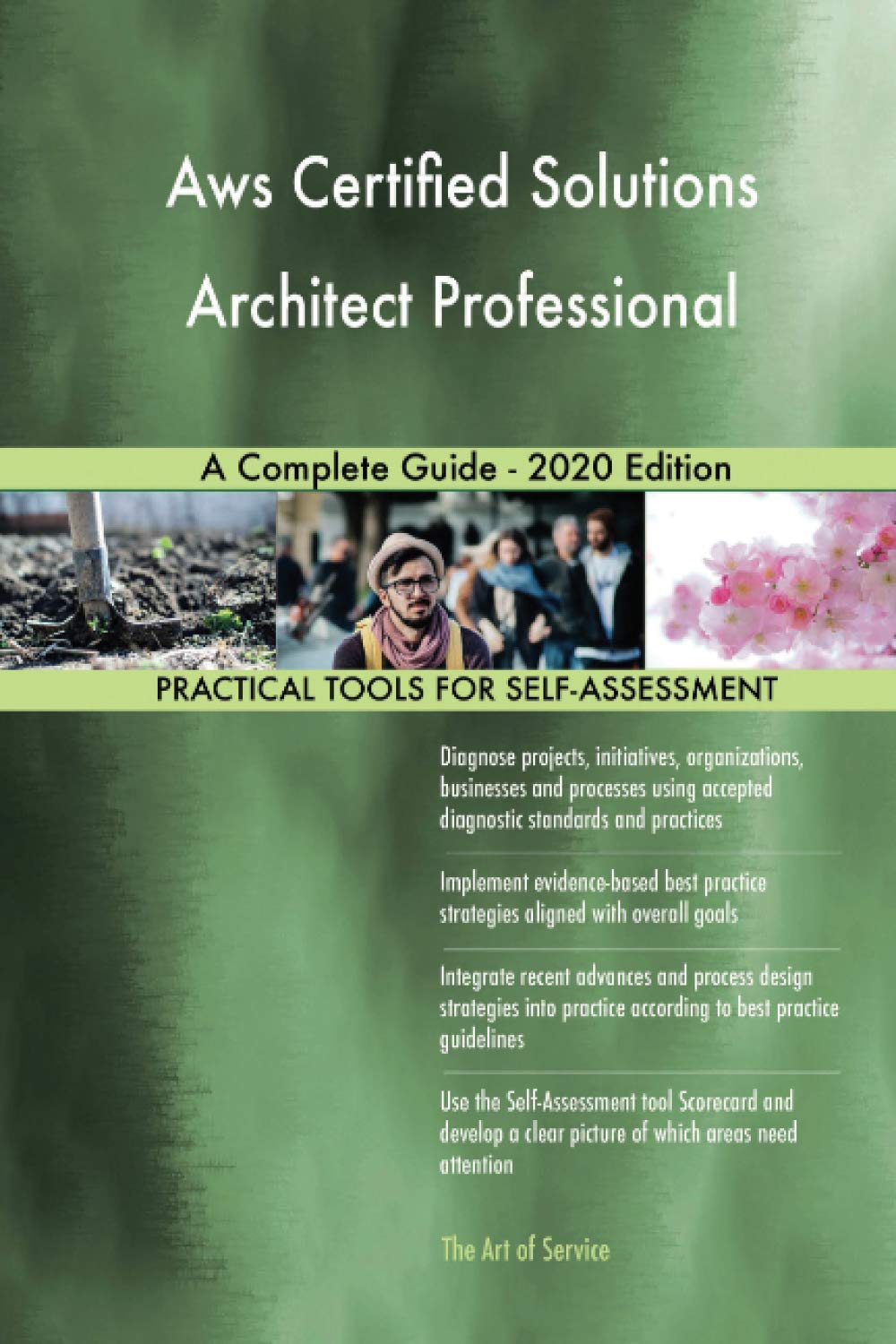 Aws Certified Solutions Architect Professional A Complete Guide - 2020 Edition