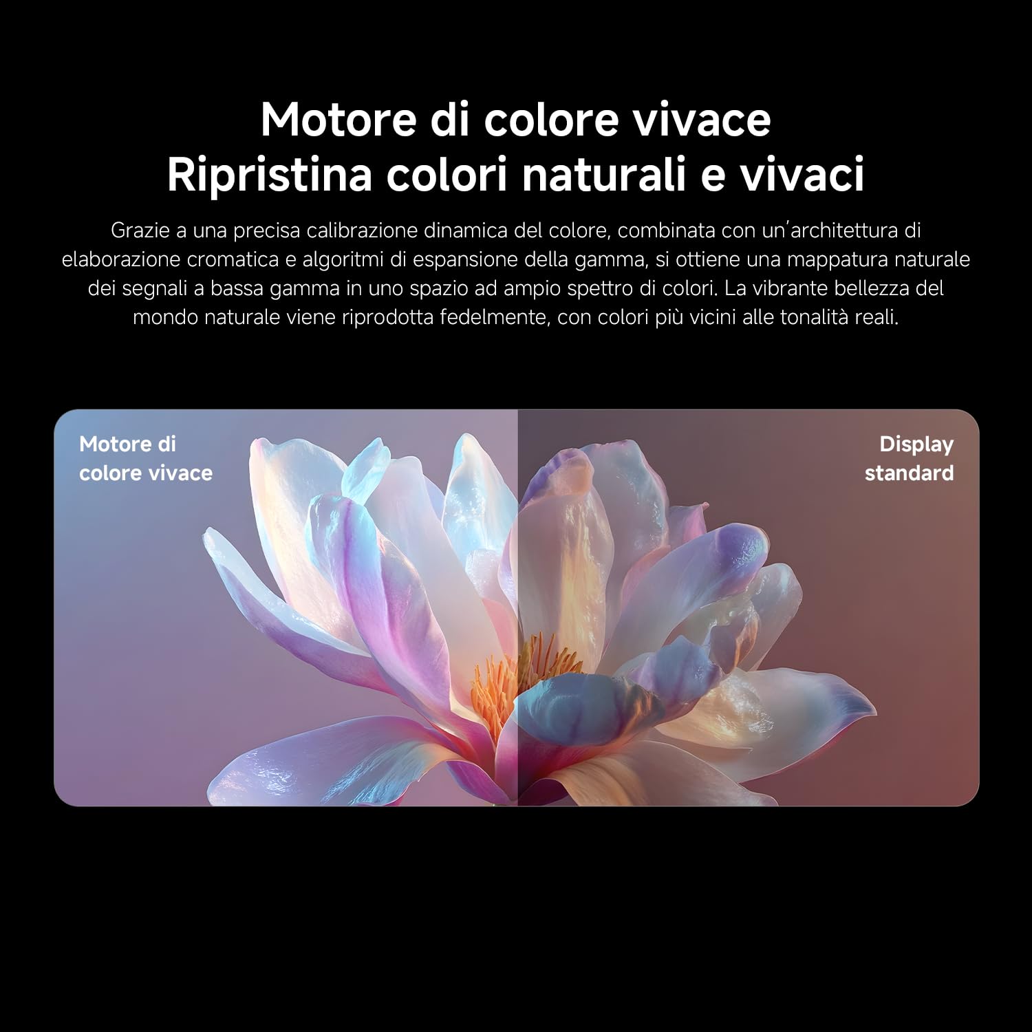 XIAOMI TV FX Mini LED da 43 pollici (101 cm), Smart TV QD-Mini LED, 4K UHD, Fire TV, HDR10+, MEMC, DTS:X, AirPlay 2, HDMI, Modalità Filmmaker, comando vocale con Alexa