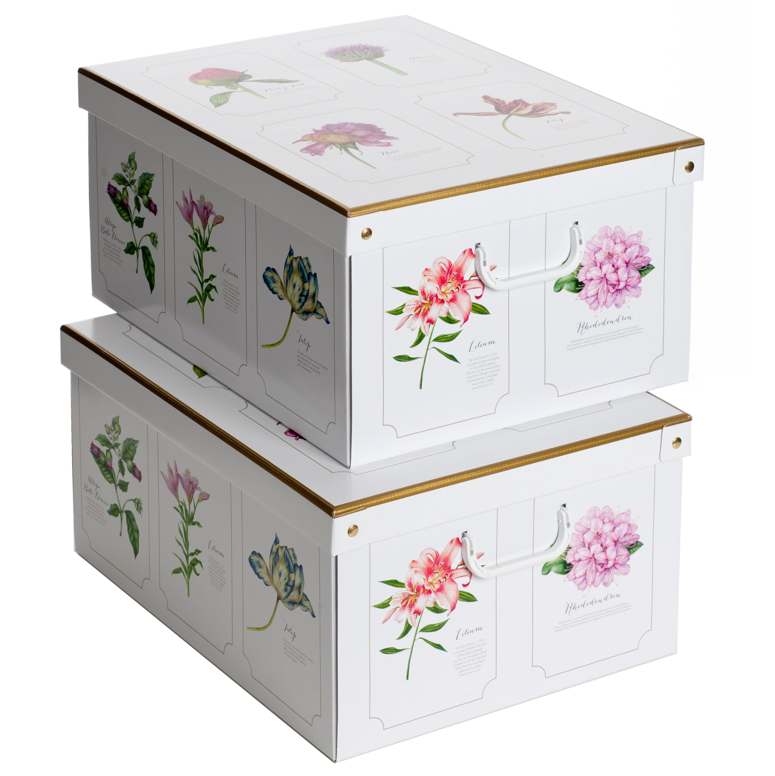 Lavatelli Kanguru Collection Botanic Decorative Storage Box with Handles and Lid, Multi-Colour, LARGE 2 PIECES, 50x39x24 cm