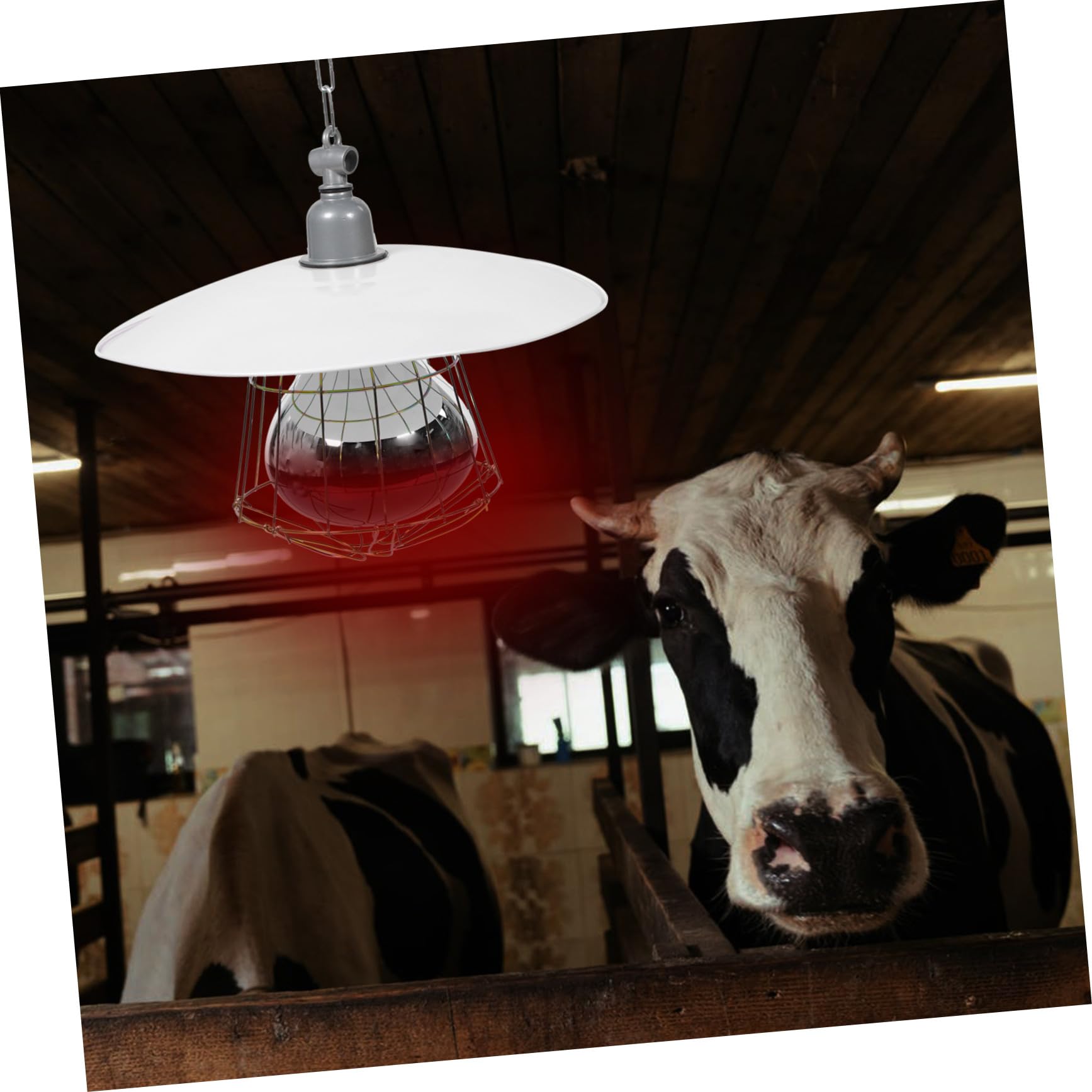 VICASKY 2 Pezzi Lampada Riscaldante per Gabbia Animali da Allevamento con Copertura in Metallo Accessorio Termico per Porcellini e Rettili Funzionamento Facile e Alta Efficienza Termica