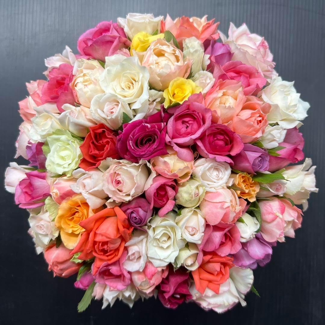 ◇未使用◇深川製磁 草花折枝白抜紋 盛鉢 箱つき