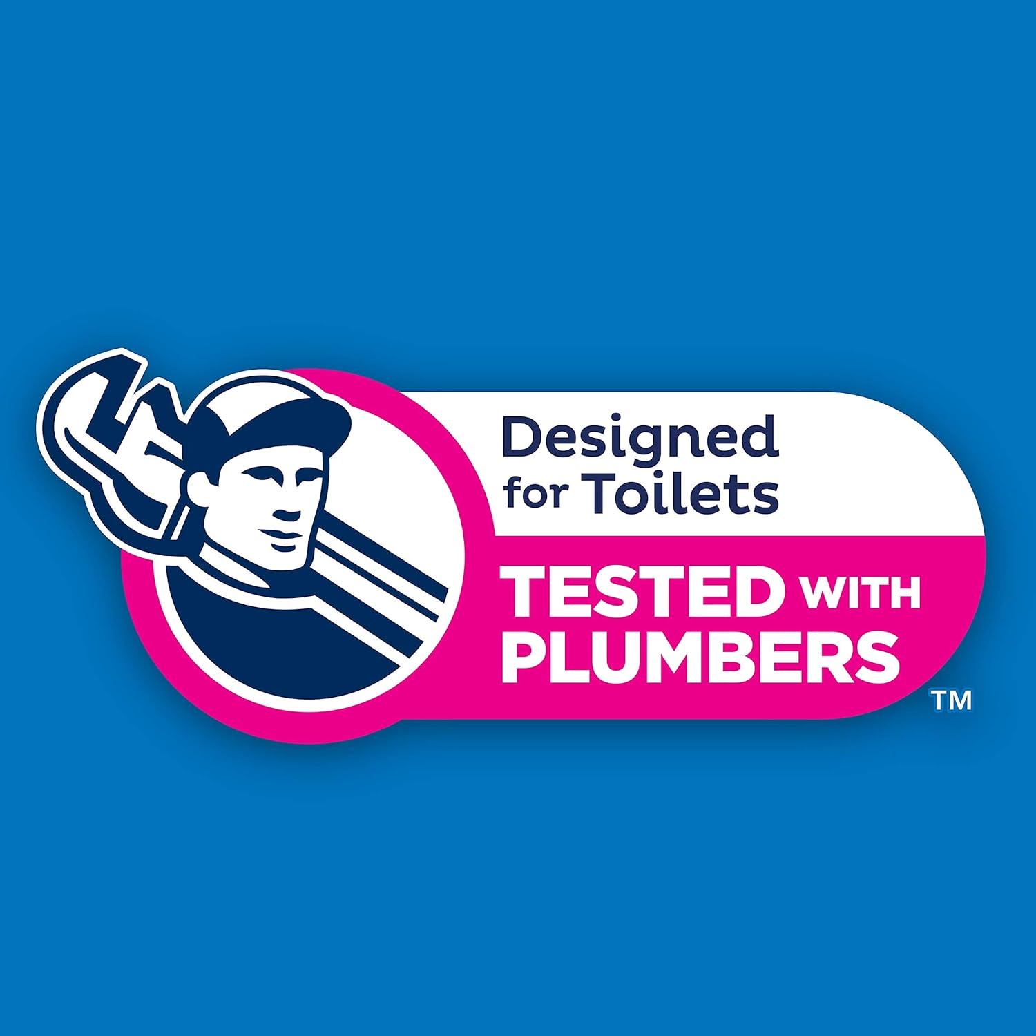 Cottonelle Flushable Wipes, 24 On-The-Go Travel Packs (2 Trays of 12), 336 Total Wipes : Health & Household