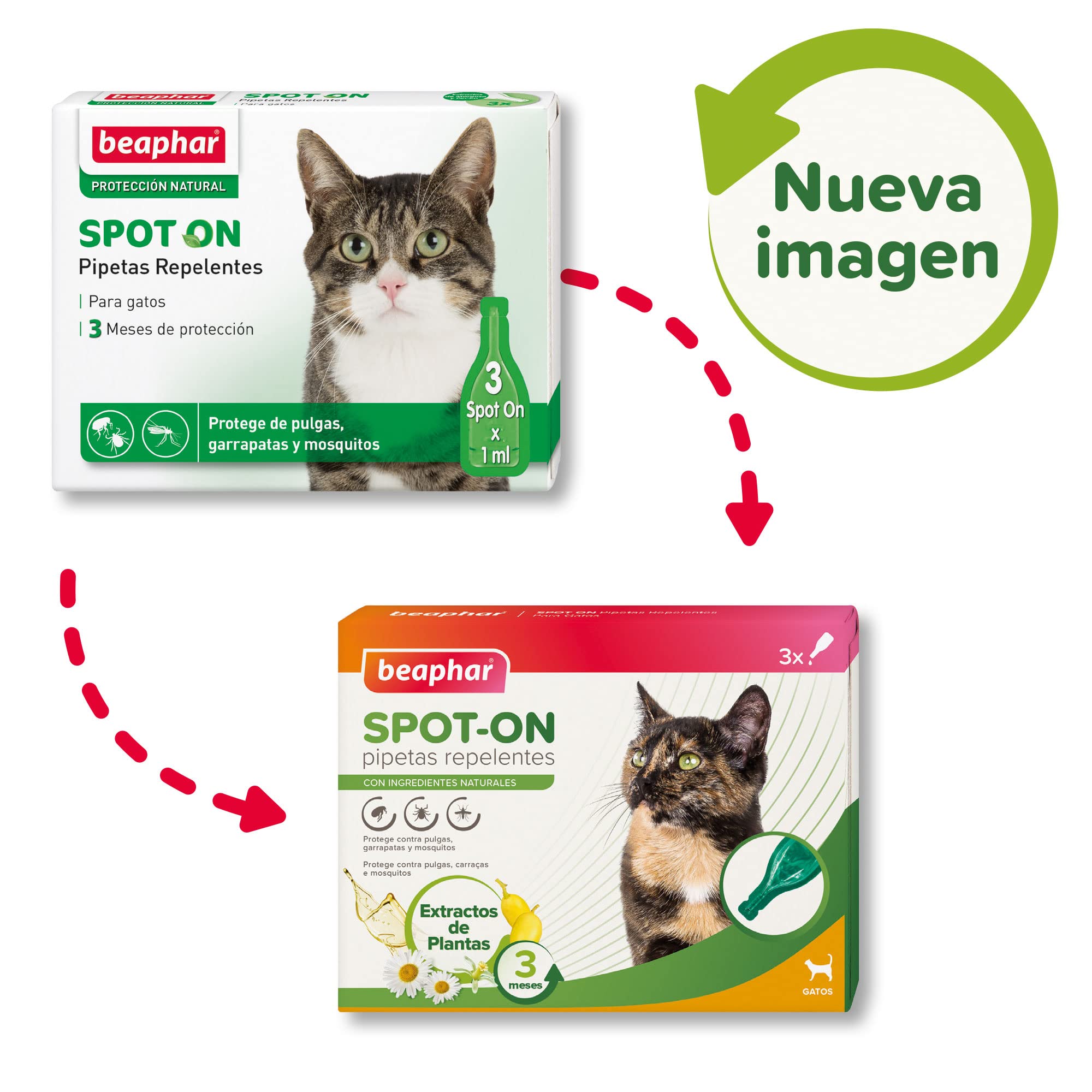 Beaphar Pipetas repelentes Naturales para Gatos - 3 Meses de protección Natural contra garrapatas, pulgas y Mosquitos - para Todo Tipo de Gatos - 3 pipetas de 1ml, El embalaje puede variar