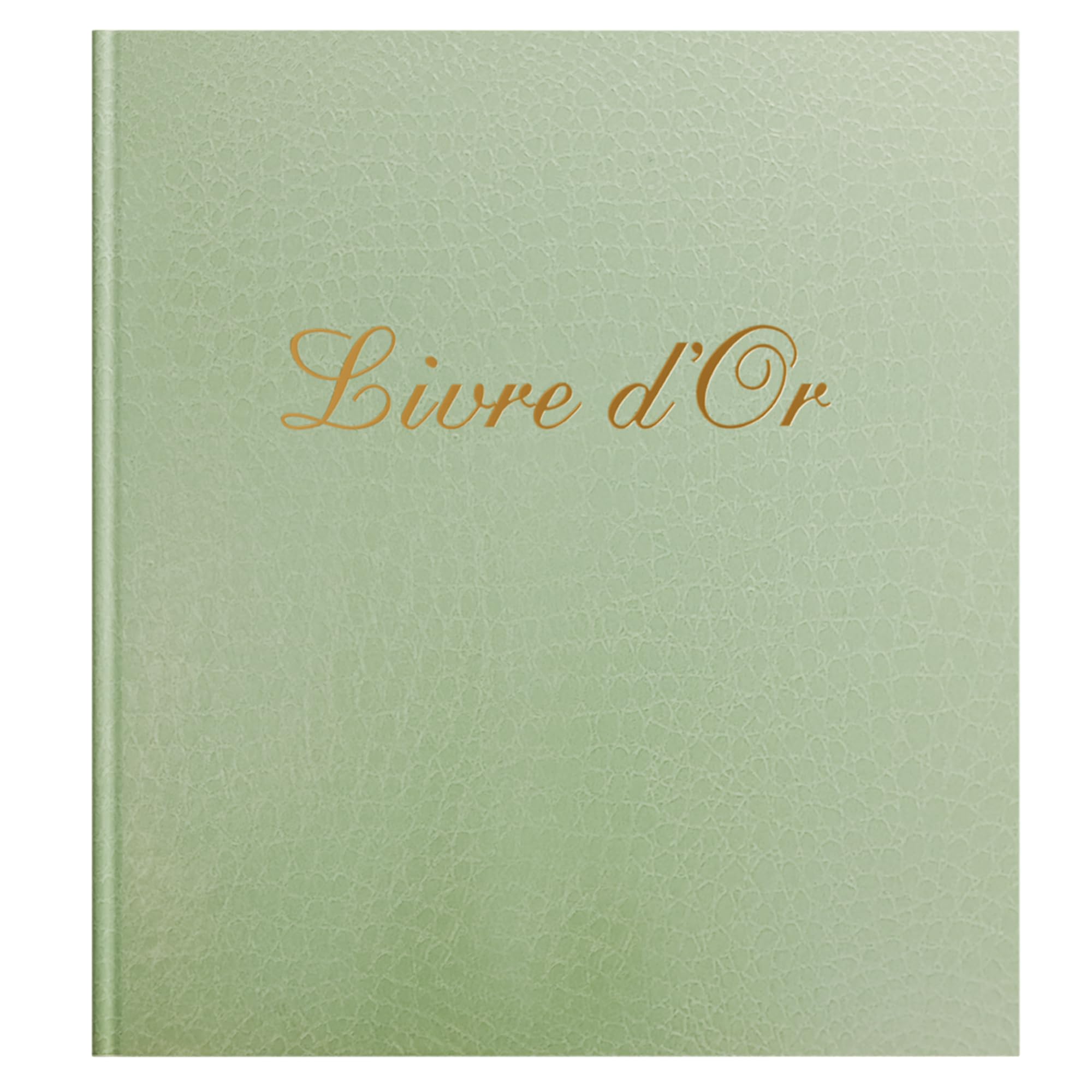 Exacompta - Ref. 309E - 1 Prestige Guest Book - Format 21 x 19 cm - Cover Paper Imitation Croco Grain - Gold Spine with Inscription - 140 Plain White Pages - Green