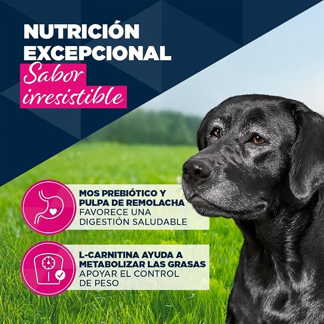Foto 3 de 7 de EUKANUBA Alimento Húmedo para Perros Senior con Pavo y Zanahoria, 6 x 400g