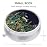 Nipichsha Pill Box, Small Pill Case for Purse & Pocket, Cute Travel Medicine Organizer, Portable Medicine Container Holder to Hold Vitamins, Medication, Fish Oil & Supplement, Dandelion