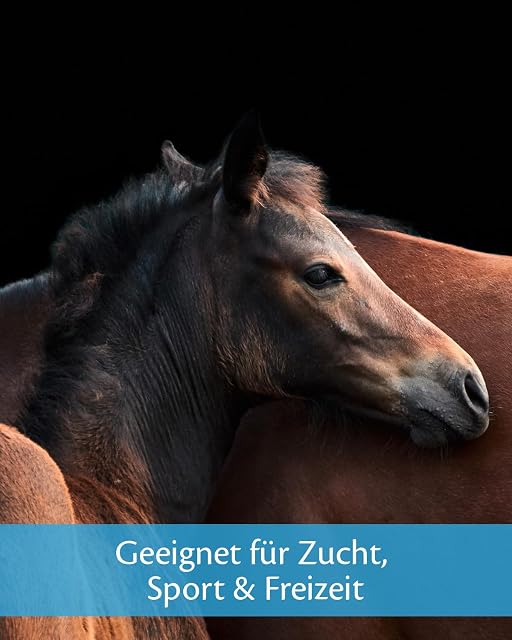 Foto 7 de 8 de Vetoquinol - Equistro Elytaan - Complemento alimenticio para Caballos (1 x 1,27 kg)