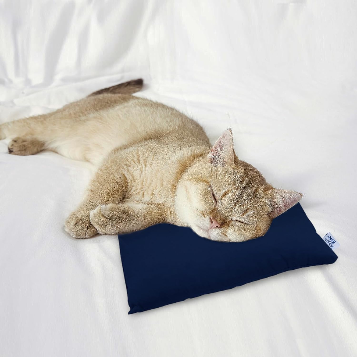 Small Pillow Mini Pillow for Travel 2 Pack, 11" x 7" Tiny Pillows with Name Tag, Travel and Sleep, Great Small Rectangular for Neck, Lumbar, Back, Pet Dogs, Blue - Image 5