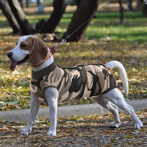 Miniatura 6 de SAWMONG Traje de recuperación para perro, camisa de recuperación de perros para heridas abdominales o enfermedades de la piel, traje de recuperación