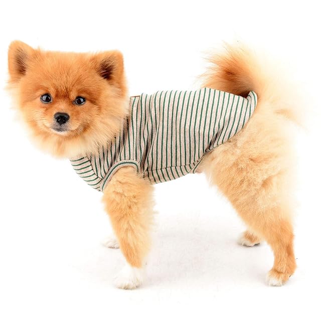 Foto 3 de 8 de PAIDEFUL Camiseta de algodón suave para perros pequeños británicos, a rayas, chaleco de gato