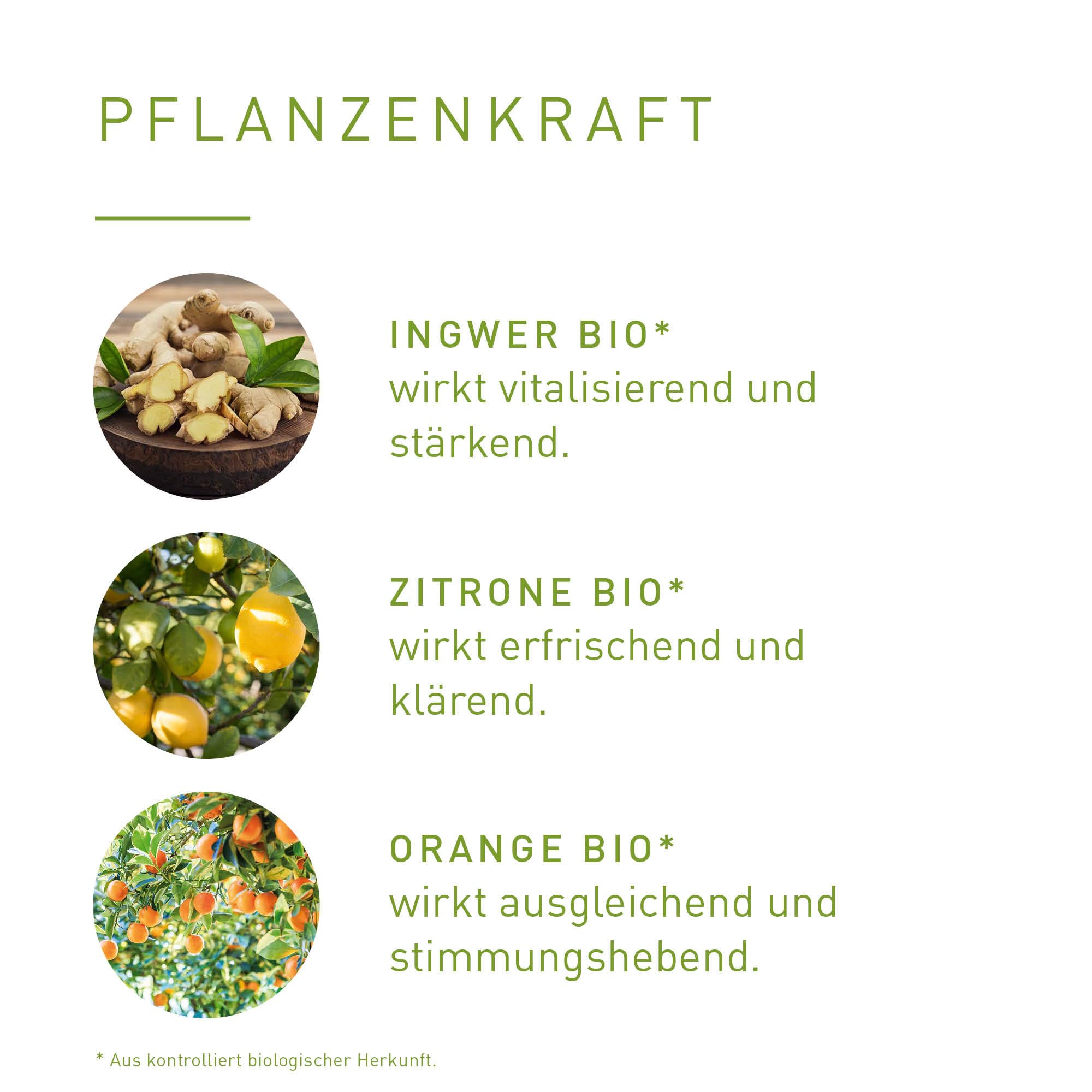 PRIMAVERA Wärmekick Aroma Sauna bio* 100 ml - Saunaöl, Aromatherapie - warmer-frischer Duft - ausgleichend - vegan