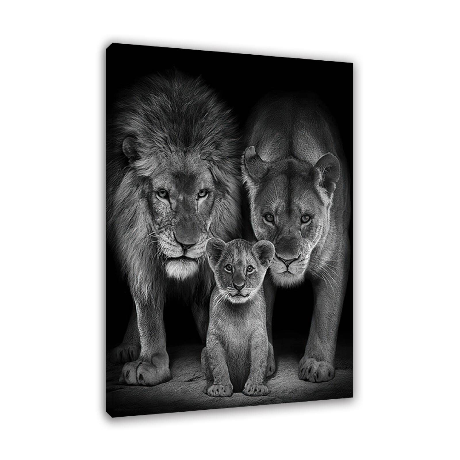 Cuadros decoracion salon modernos blanco y negro. Impresión de familia de leones africanos en lienzo. Cuadro sobre Lienzo decorativo para salón,dormitorio,baño,oficina 70x105cm(27,6x41,3")sin marco