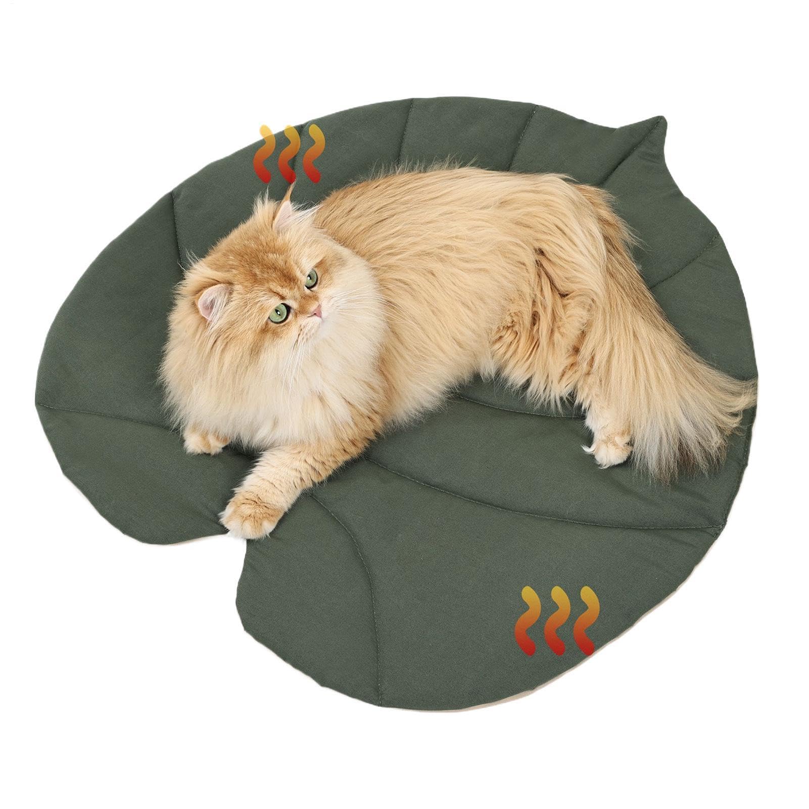 Tapis de lit pour chien imperméable : protégez votre animal du froid et de l'humidité