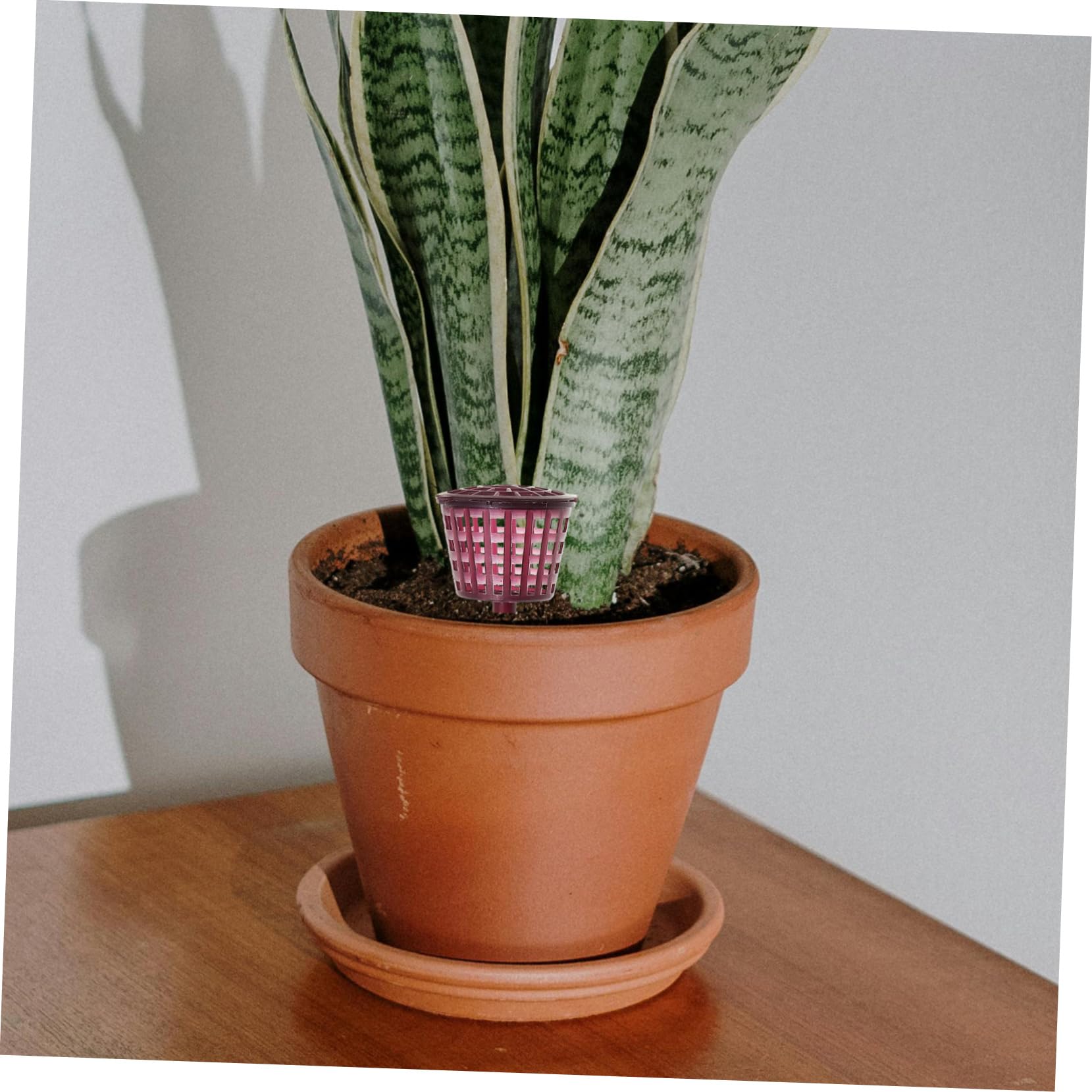 Toyvian 10pièces Paniers à Engrais pour Bonsaïs Distributeurs Automatiques Plastique Facilitent La Fertilisation des Plantes