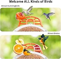 Vista 4 de Comedero para pájaros con cámara, panel solar para identificar especies de aves, casa inteligente para pájaros con leva (naranja claro)