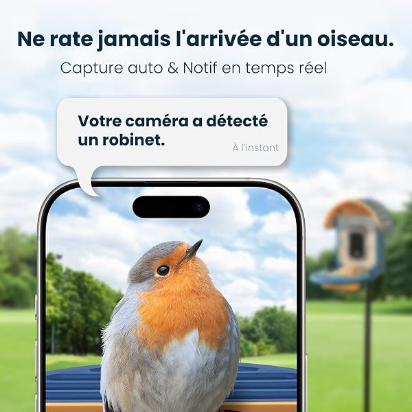 Mangeoire Oiseaux Camera, Camera UHD 2,5K, Solaire, Identification IA Sensible, Alertes instantanées, Enregistrement vidéo, étanche IP66 mangeoire Oiseaux, Bleue - 5