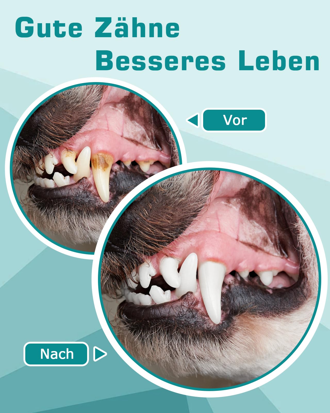 Kit de nettoyage dentaire à ultrasons pour chien et chat, Detartreur Dentaire Ultrason pour Chien et Chat, 5 modes de nettoyage et 4 têtes de nettoyage pour animaux de compagnie