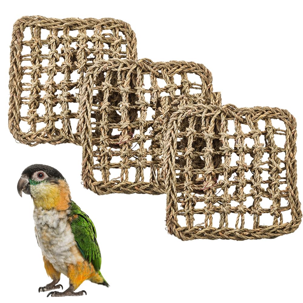 GORGECRAFT 3pz Tappetino per Uccelli in Erba Pappagallo Parrocchetto Rete Intrecciata in Erba Marina Naturale Scala di Corda per Arrampicata Tappetini per Amaca Forniture Gabbia Inseparabili Conuro