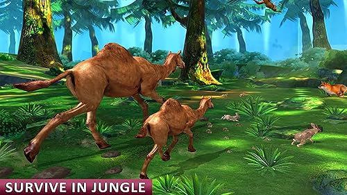 Camel Family Life Simulator