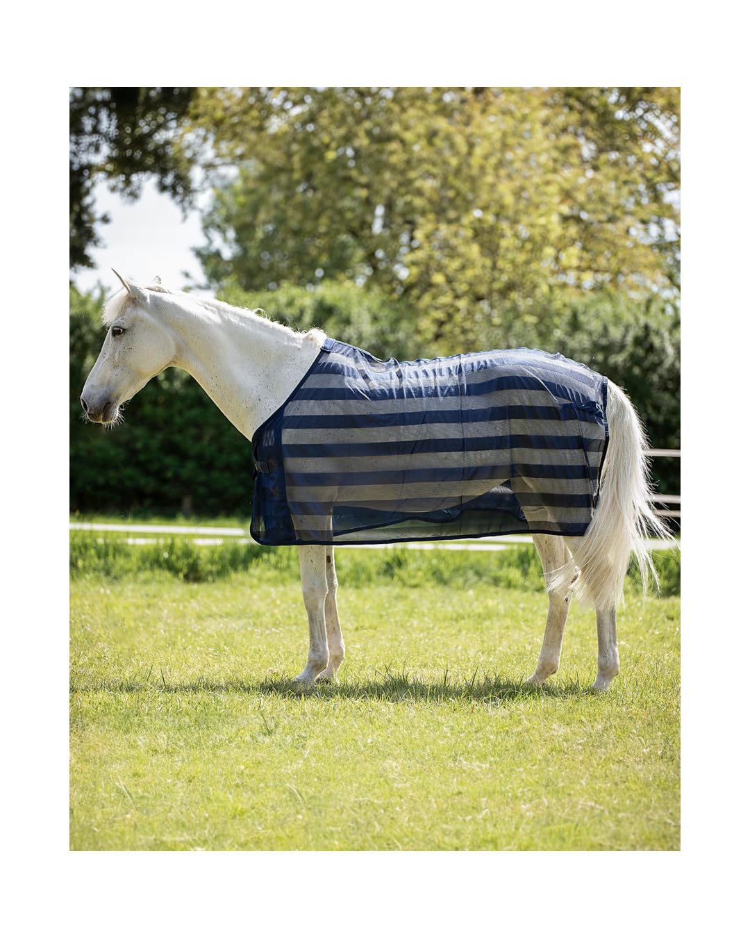 4Horses Fliegendecke Bari, leichte Pferdedecke mit Insektenschutz, Brustverschluss, Schweifriemen und angenehmem