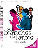 Les Branches de l'arbre