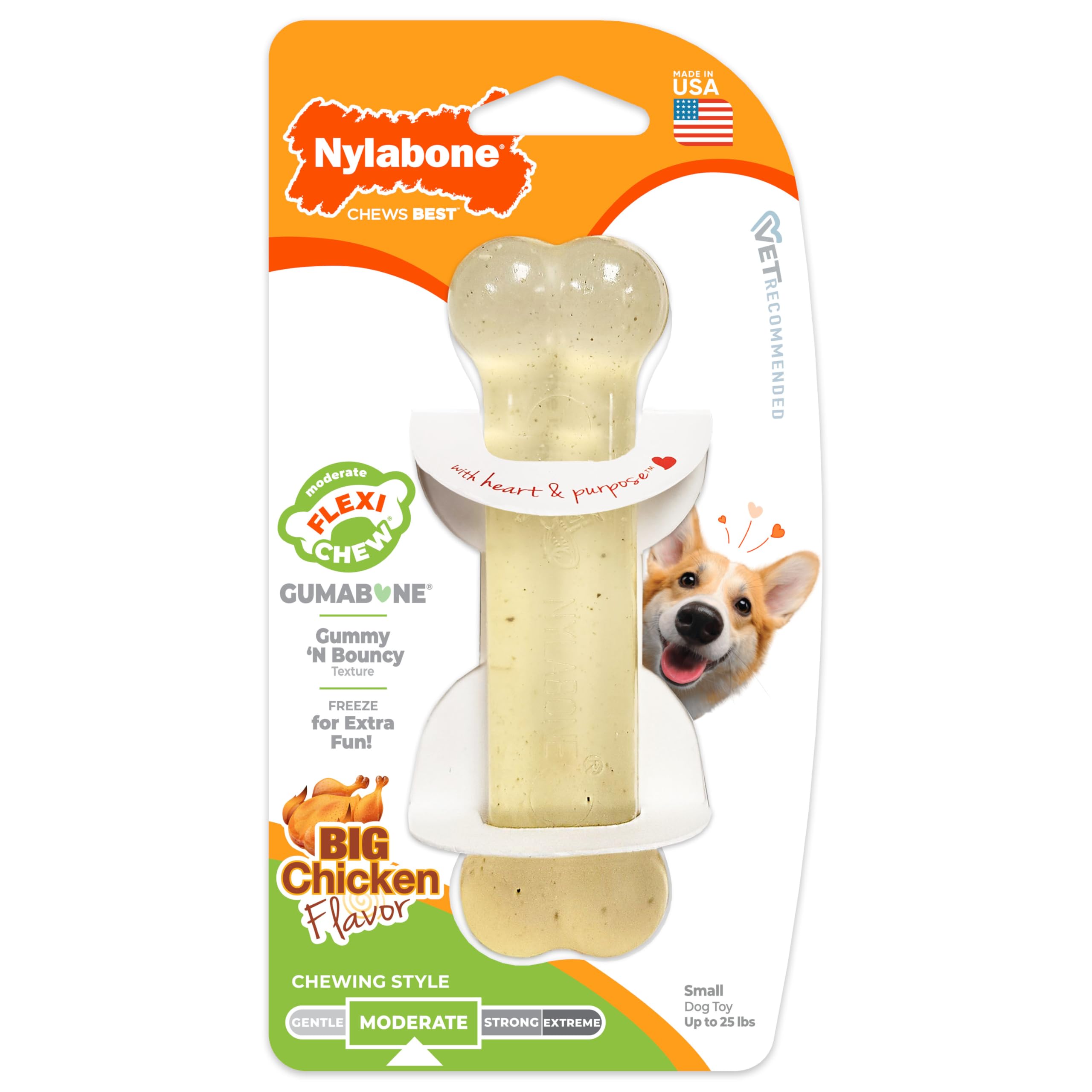 Pet Supplies : Pet Chew Toys : Nylabone Flexi Chew Gumabone Dog