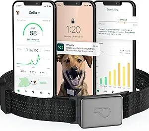 Whistle GPS + Health + Fitness - Smart Dog Collar, Waterproof Dog GPS Tracker Plus Health & Fitness Monitor, 24/7 Pet Tracker, 2 Rechargeable Batteries, Switch (Newest Model), (Black), M/L asin的图片