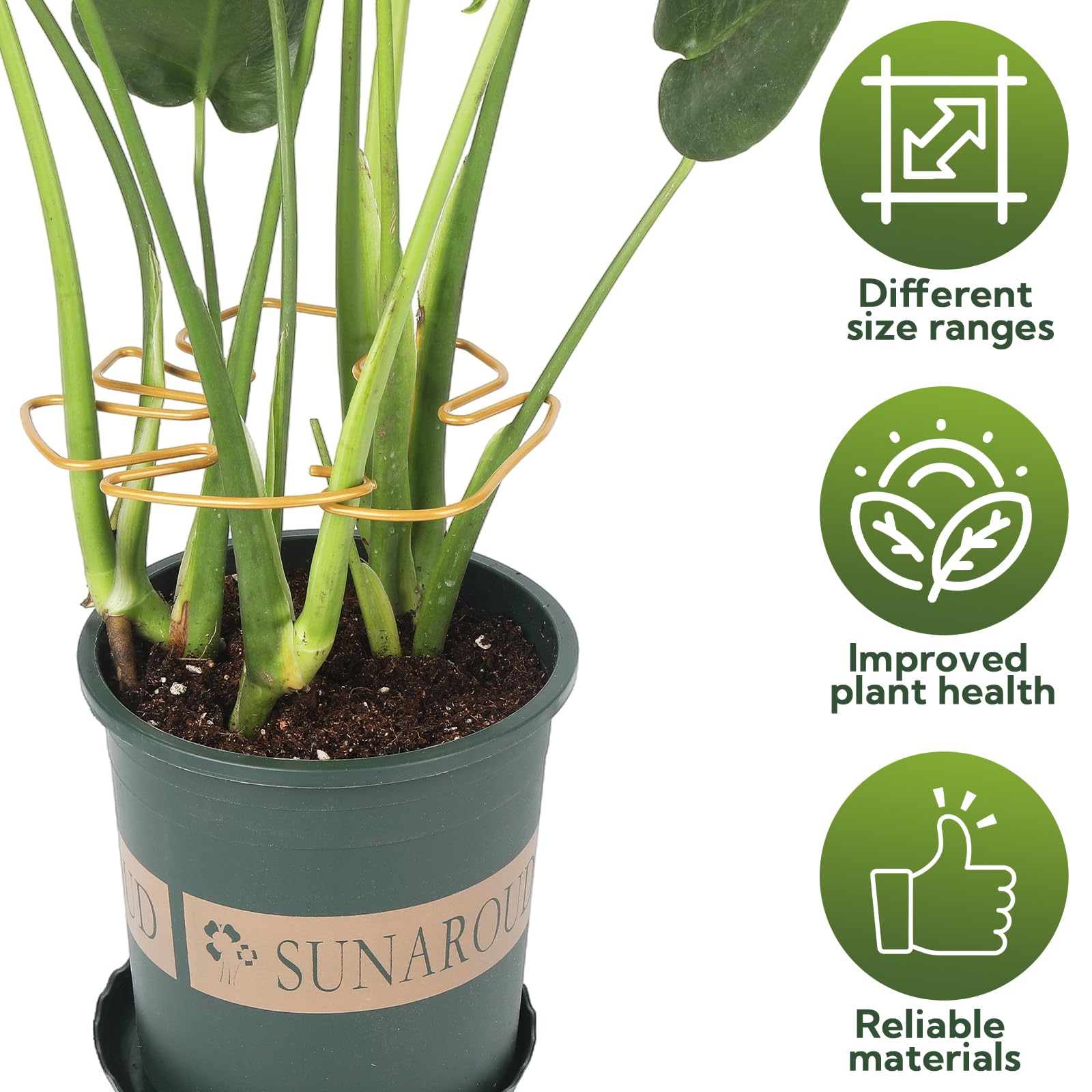 Monstera Lot de 6 supports de tige pour plantes d'intérieur, design unique pour plantes grimpantes, ensemble de pinces en bambou en coquillage de tortue, support parfait pour une croissance